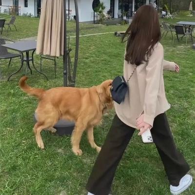 致命女人